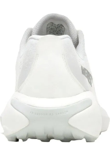 Morphlite J068134 indirimleri