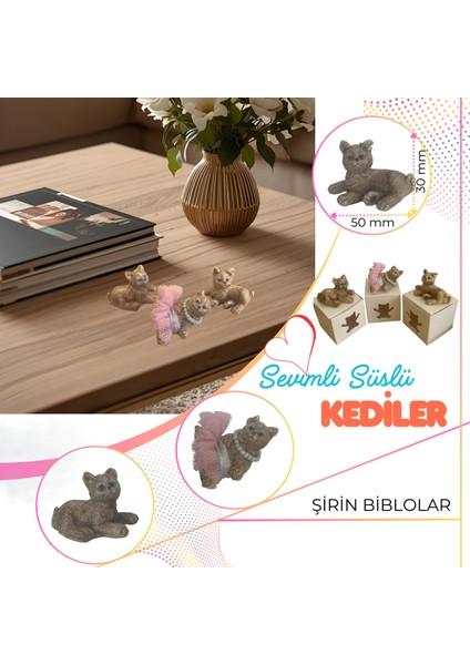 Sevimli Süslü Şirin Kedi Bibloları modelleri