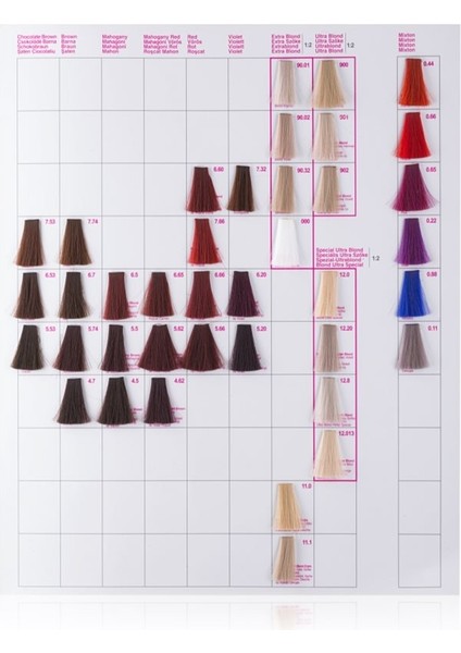 Saç Boyası 100 ml Italy 2 Adet Oksidan Hediye