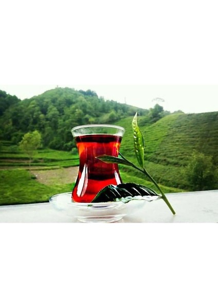 Ezber Bozan Dökme Siyah Çay 2,5 kg Türkiye Üretimi Doğal Yaprak Sade Aromalı Yüksek Kalite fırsatları