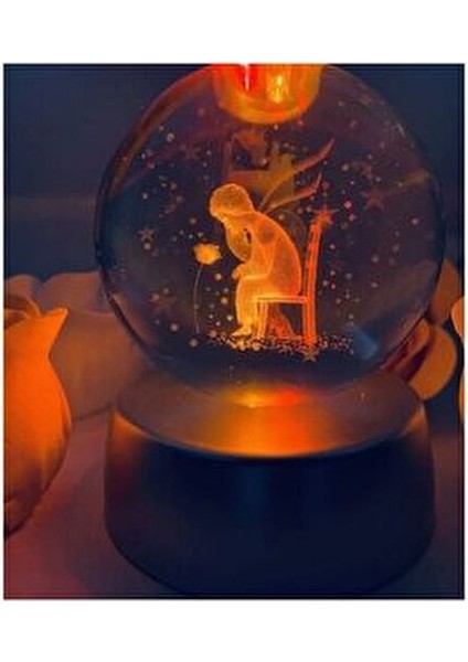 Küçük Prens 3D Renkli Işıklı Cam Küre modelleri