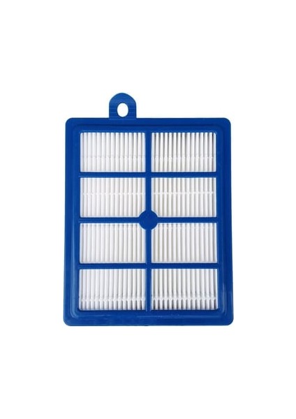 EFS1W Allergyplus Elektrikli Süpürge Filtresi Hepa 13