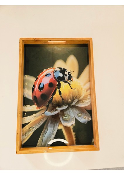 Ahşap Epoksi Servis Tepsisi indirimleri