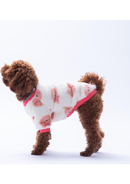 Fluffy Face Ayı Desenli Sweat Kedi Köpek Sweati Kedi Köpek Kıyafeti Köpek Peluşu Sıcak Tutan Sweat fiyatları