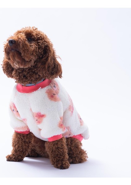 Fluffy Face Ayı Desenli Sweat Kedi Köpek Sweati Kedi Köpek Kıyafeti Köpek Peluşu Sıcak Tutan Sweat modelleri