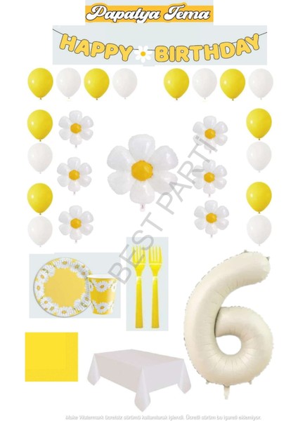 Best 6 Yaş Papatya Temalı Doğum Günü Parti Seti