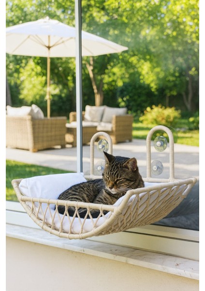 Kedi Köpek Cam Yatağı Vantuzlu Hamak