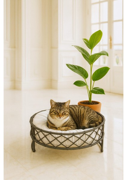 Kedi Köpek Yatağı El Işçiliği