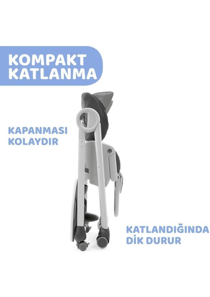 Polly 2 Start Mama Sandalyesi - Süslü Tavuk