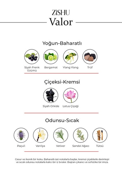 Valor-Erkek Parfüm-Edp 50ML modelleri