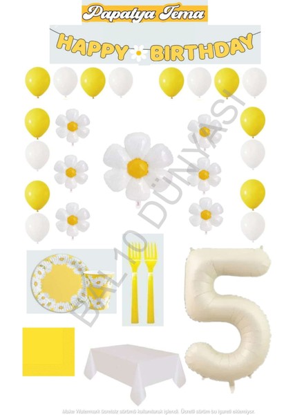 BAL10 5 Yaş Papatya Temalı Doğum Günü Parti Seti