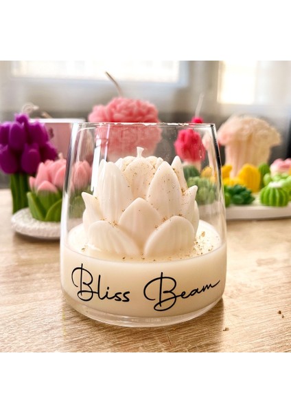 Lotus Çiçek Bardak Soya Mumu modelleri