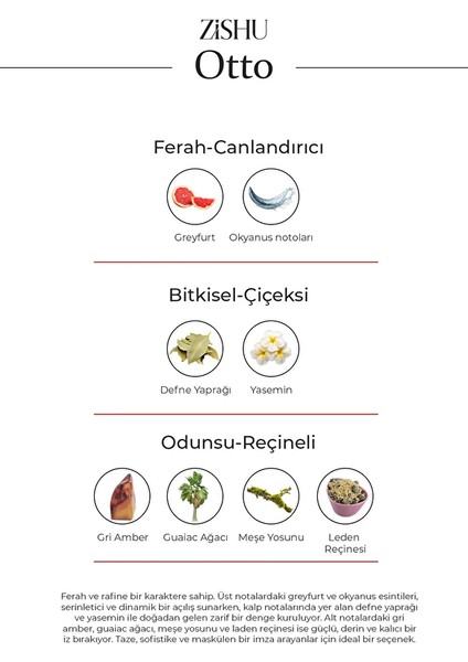 ZİSHU Otto Erkek Parfümü EDP 50 ml fiyatları