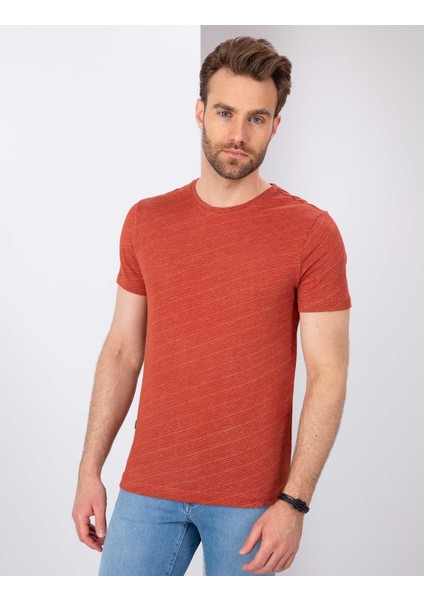 Erkek Kiremit Slim Fit Bisiklet Yaka Tişört 50200628-VR031