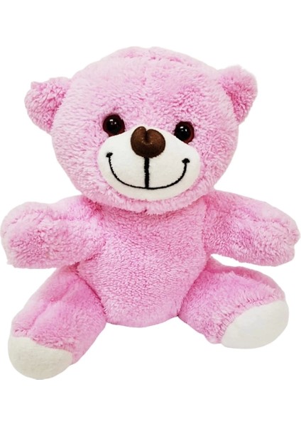 Öğretmenler Günü Hediyesi Peluş Ayıcık fiyatları