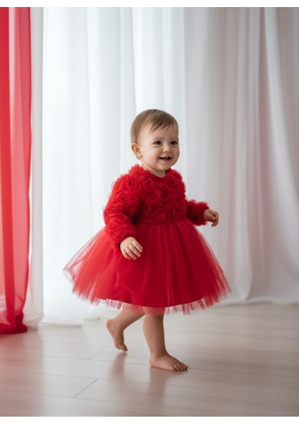 Kız Bebek Gül Desenli Fiyonk Lu Şık Özel Gün Abiye Elbise fiyatları