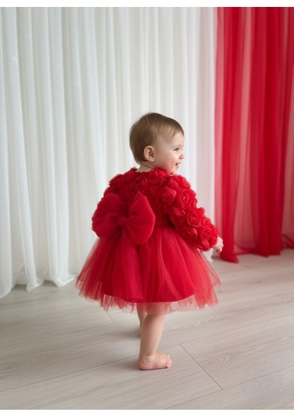 Kız Bebek Gül Desenli Fiyonk Lu Şık Özel Gün Abiye Elbise modelleri