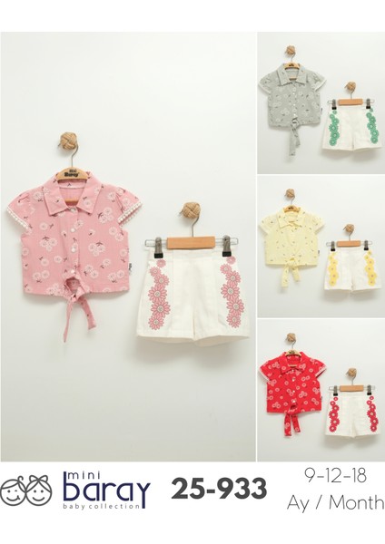 Kız Bebek Desenli Gömlek ve Şort Takımı (9-12-18 Ay) fiyatları