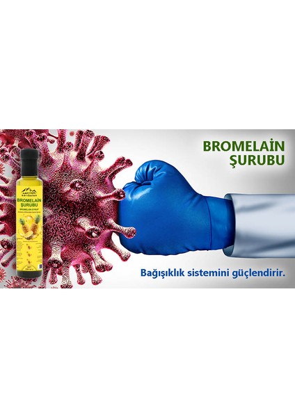 Bromelain Ananas Içeren Detox Şurubu 250 ml (Koenzim Q10 ve L-Karnitin Ilaveli) indirimleri