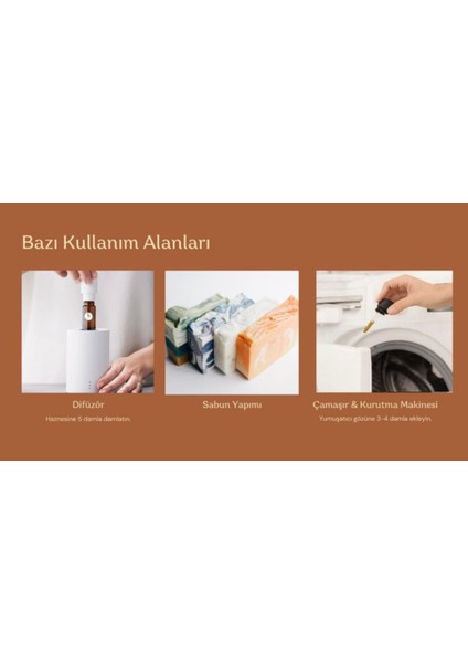 Yağmur Ormanı Esansiyel Koku Yağ Buhardanlık Yağı Difüzör Esansı Hobi Esans Ortam Oda Kokusu 5X10 ml indirimleri