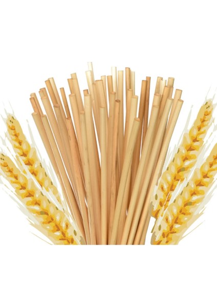 Uzun Kokteyl Pipeti 50LI 20 cm Buğday Sapı Pipet Kokteyl Pipeti Kokteyl Pipet 50 Adet