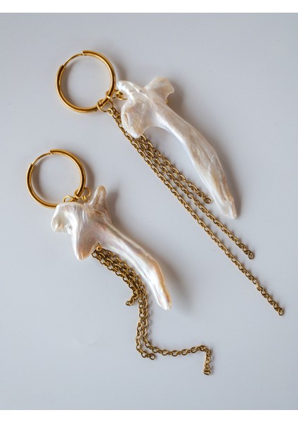 Vexa Inci Küpe fiyatları