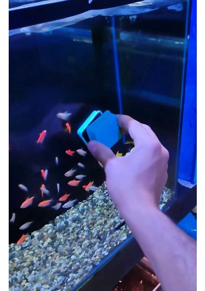 Akvaryum Cam Temizleme Akvaryum Cam Sileceği Mıknatıslı Akvaryum Cam Temizleyici(2-10 Mm) fiyatları