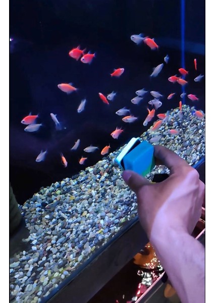 Akvaryum Cam Temizleme Akvaryum Cam Sileceği Mıknatıslı Akvaryum Cam Temizleyici(2-10 Mm) fırsatları