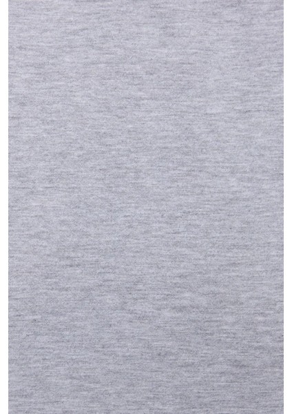 Kadın Basic Kısa Kollu Yuvarlak Yaka Tişört Grey