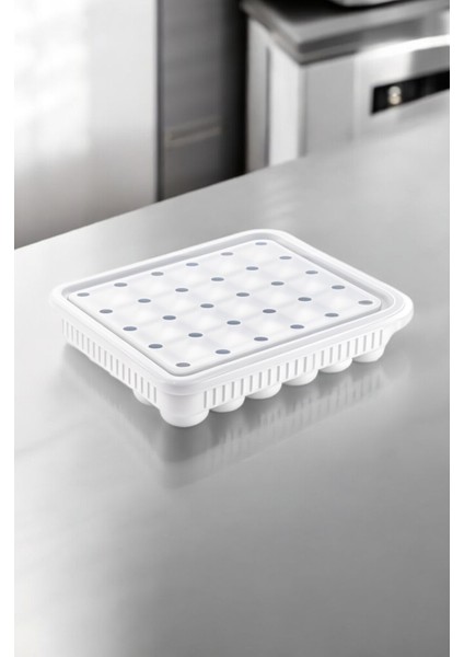 30'lu Yumurta Saklama Kabı, Buzdolabında Düzen ve Tazelik Için Mükemmel fiyatları