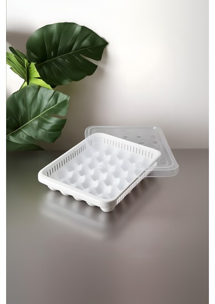 30'lu Yumurta Saklama Kabı, Buzdolabında Düzen ve Tazelik Için Mükemmel modelleri