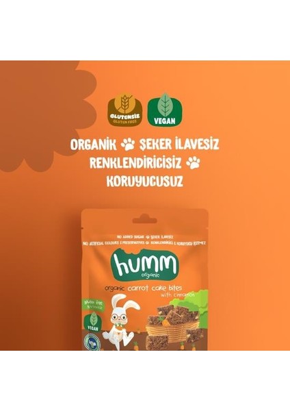 Nessiworld Humm Organik Havuçlu Tarçınlı Vegan Kek 30 gr fiyatları