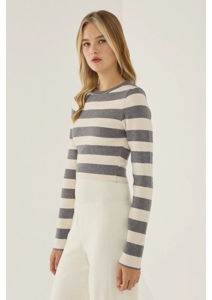 Kadın Çizgili Bisiklet Yaka Triko Üst Grey