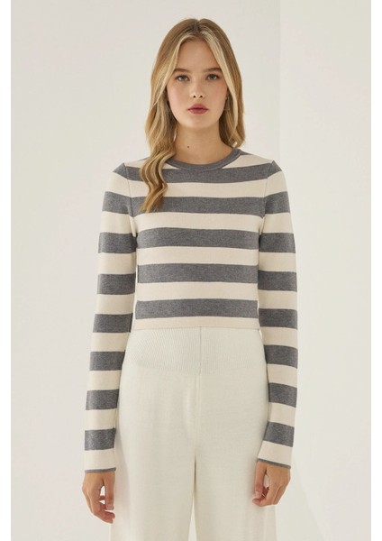 Kadın Çizgili Bisiklet Yaka Triko Üst Grey