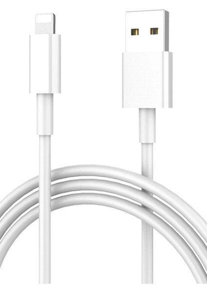 DC05 Süper Hızlı Lightning Kablo iphone Uyumlu 1m 2.4A-(5796) - SBS4492-4172