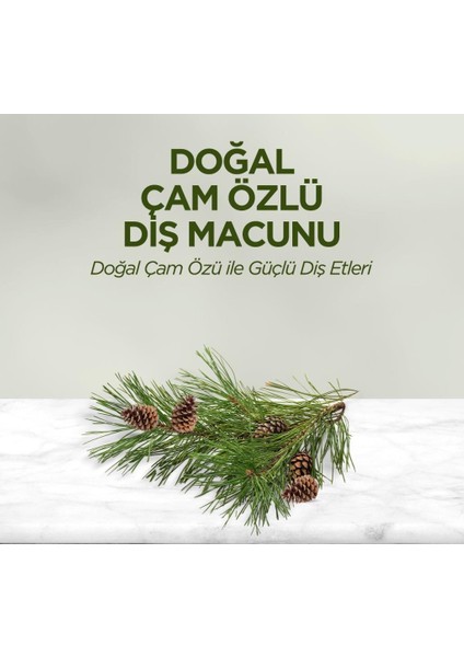 Nessiworld Eyüp Sabri Tuncer Doğal Diş Macunu 90 gr Çam Özlü fiyatları