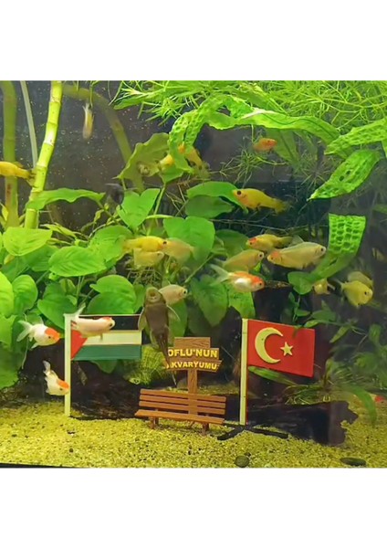 Türk Bayrağı Akvaryum Dekoru fiyatları