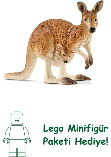Schleich 14756 – Okuyan Kanguru, Çok Renkli