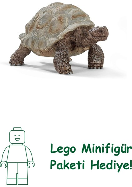 Schleich Dev Tosbağa