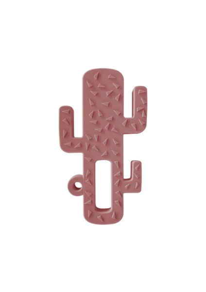 Nessiworld Diş Kaşıyıcı Kaktüs Velvet Rose