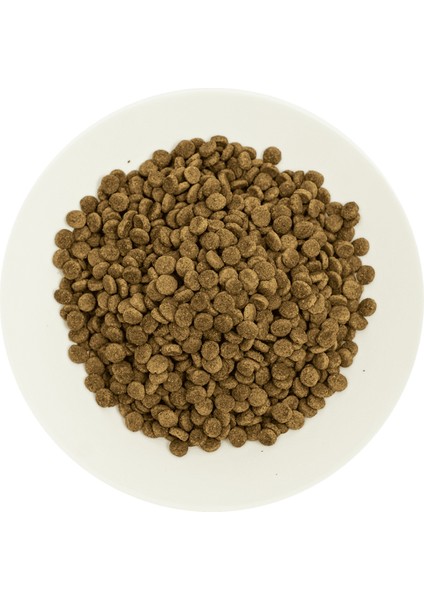 Kısırlaştırılmış Kediler Için, Hipoalerjenik, Somon Balıklı ve Karidesli Kuru Mama 2 kg modelleri