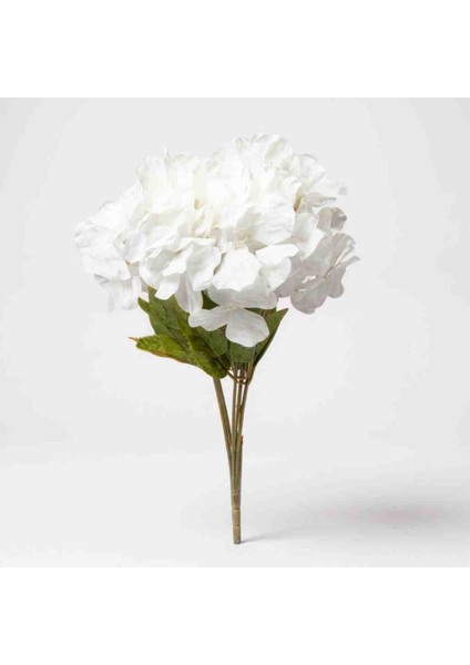 Yapay Ortanca Demeti