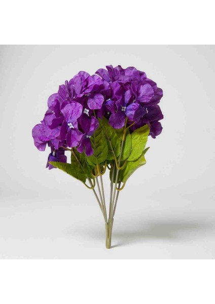 Yapay Ortanca Demeti