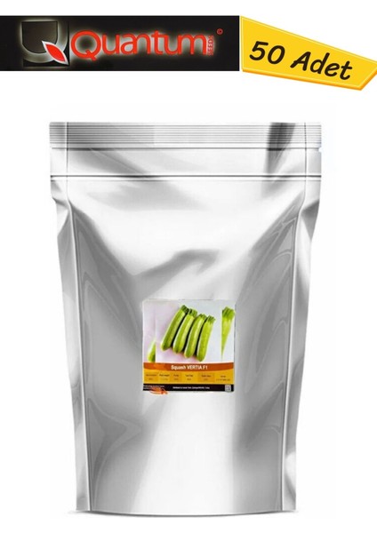 Squash Vertıa F1 Hibrit Kabak Tohumu