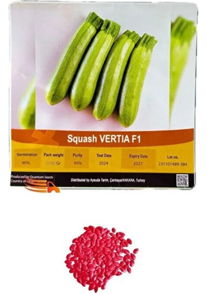 Squash Vertıa F1 Hibrit Kabak Tohumu modelleri