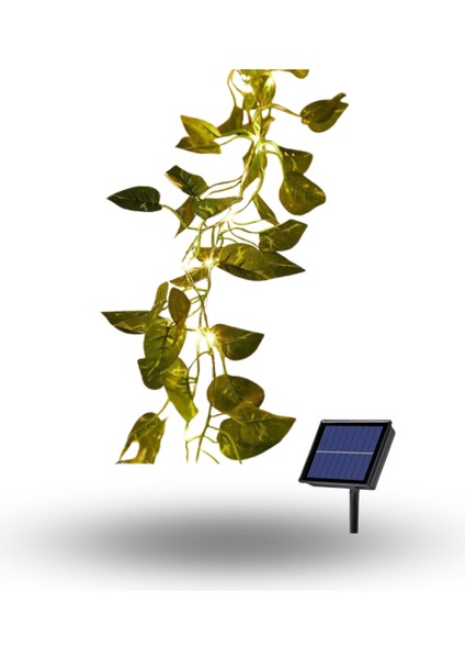 Büro Ev Ofis Bahçesi Için 5mt Sarmaşık Dekor Solar Şarjlı LED Aydınlatma