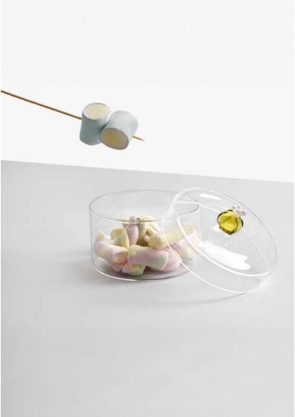 El Yapımı Cam Kaktüs Figürlü Kutu, Küçük, Şık ve Doğal Tasarım, Gri Renkli. fiyatları