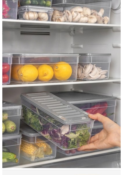 Turuncu Buz Dolabı Düzenleyici Set, Saklama Kabı ve Difriz Uyumlu, Pratik Kullanım