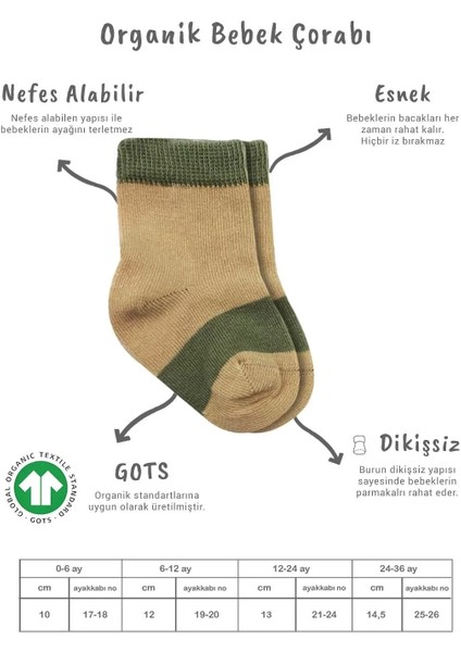 3'lü Penye Rainbow Soket Çorap BS10113 Nil fiyatları