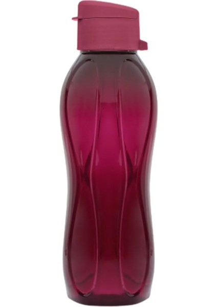 Mor Kapaklı Bpa Free Sporcu Suyu 750 Ml, Şık ve Dayanıklı Öğrenci Suluğu fırsatları